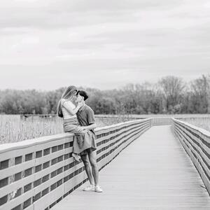 Gallery Photo 255