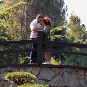 Gallery Photo 5