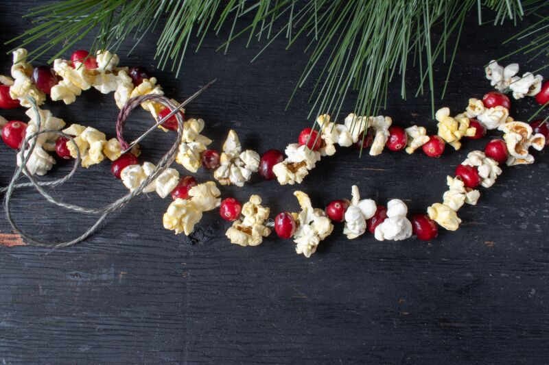 Popcorn garland Christmas birthday party ideas