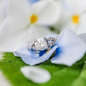 Gallery Photo 166