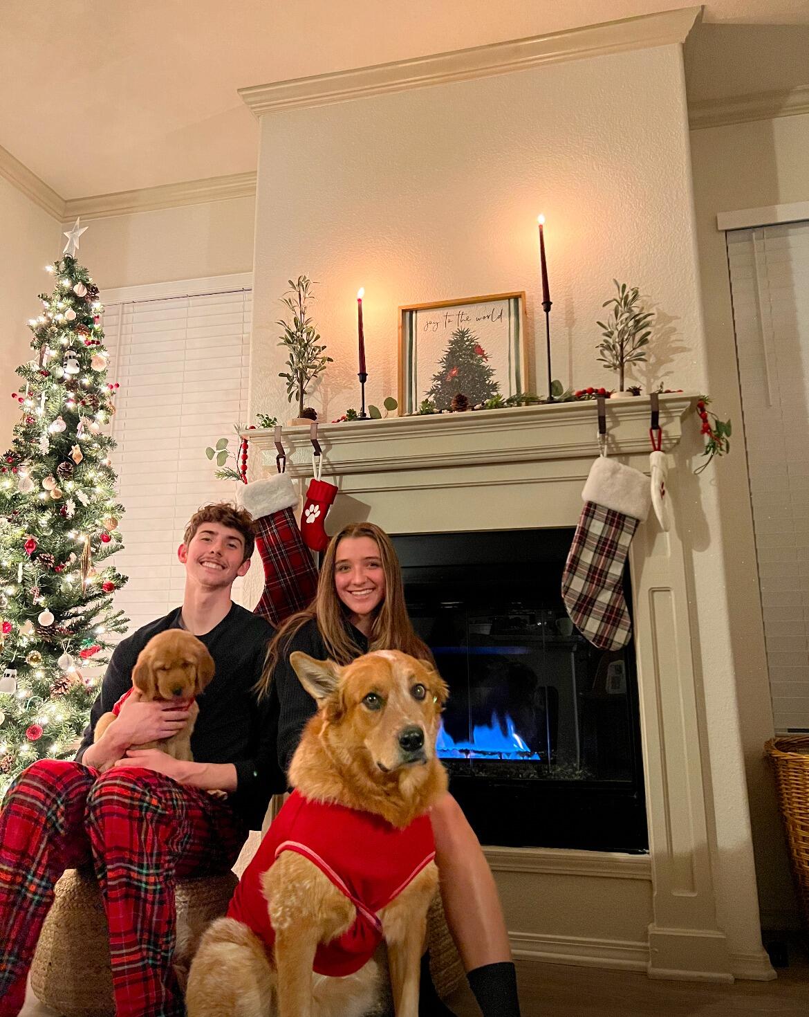 We adopted our puppy, Honey!