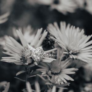 Gallery Photo 47