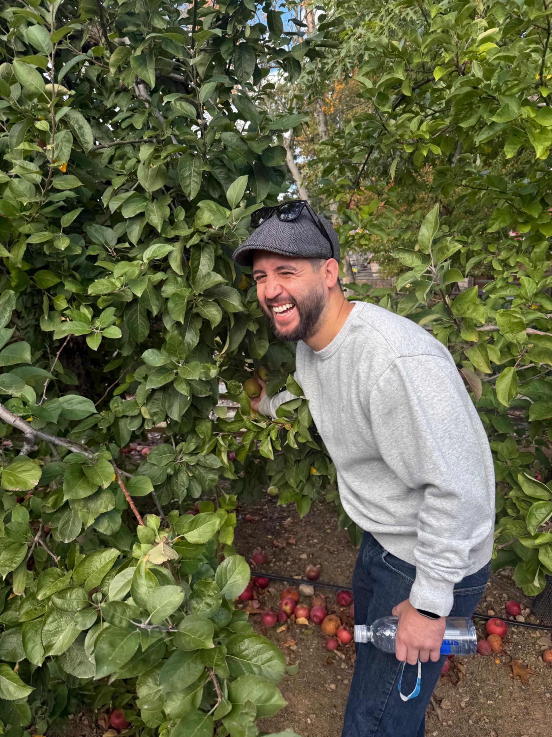 Fun fall activities in New England! Apple picking!