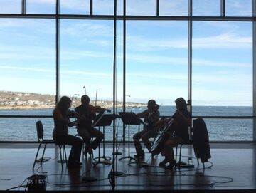 New England String Quartet - String Quartet - Boston, MA - Hero Main