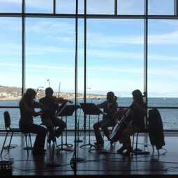New England String Quartet, profile image