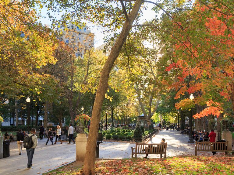 Jon Lovette / Getty Images philadelphia rittenhouse square in the fall with marigold and orange foliage