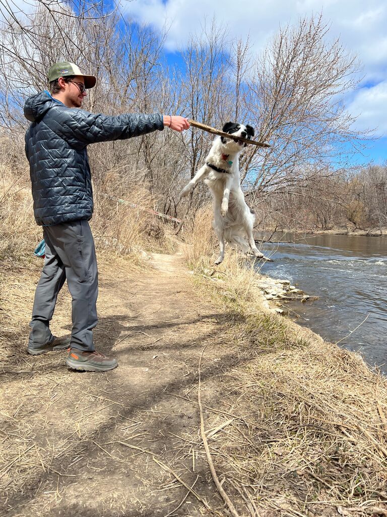 Teaching Ripley new tricks!