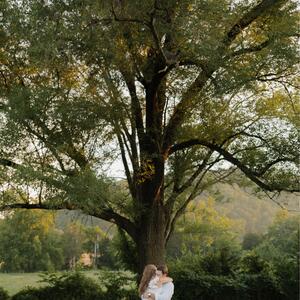 Gallery Photo 20