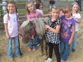 Pony Pals Party Ponies - Pony Rides - Ashland City, TN - Hero Gallery 2