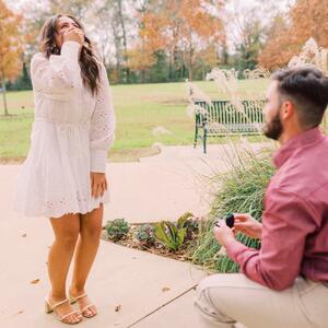 Gallery Photo 10