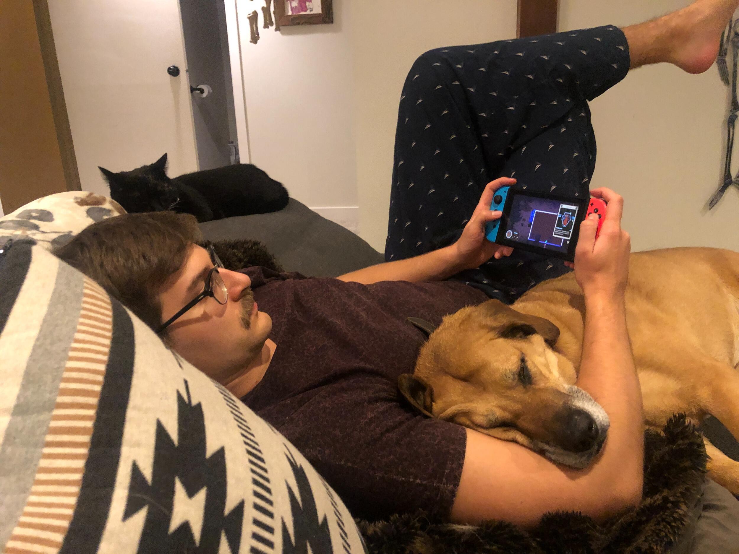 Jon and Emily moved in together August 2022, the pets settled right in.