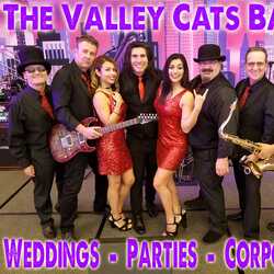 Valley Cats Band, profile image