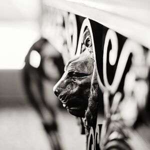 Gallery Photo 7