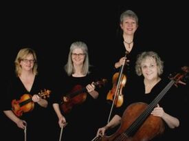 String Quartet Con Brio - String Quartet - Loveland, CO - Hero Gallery 1