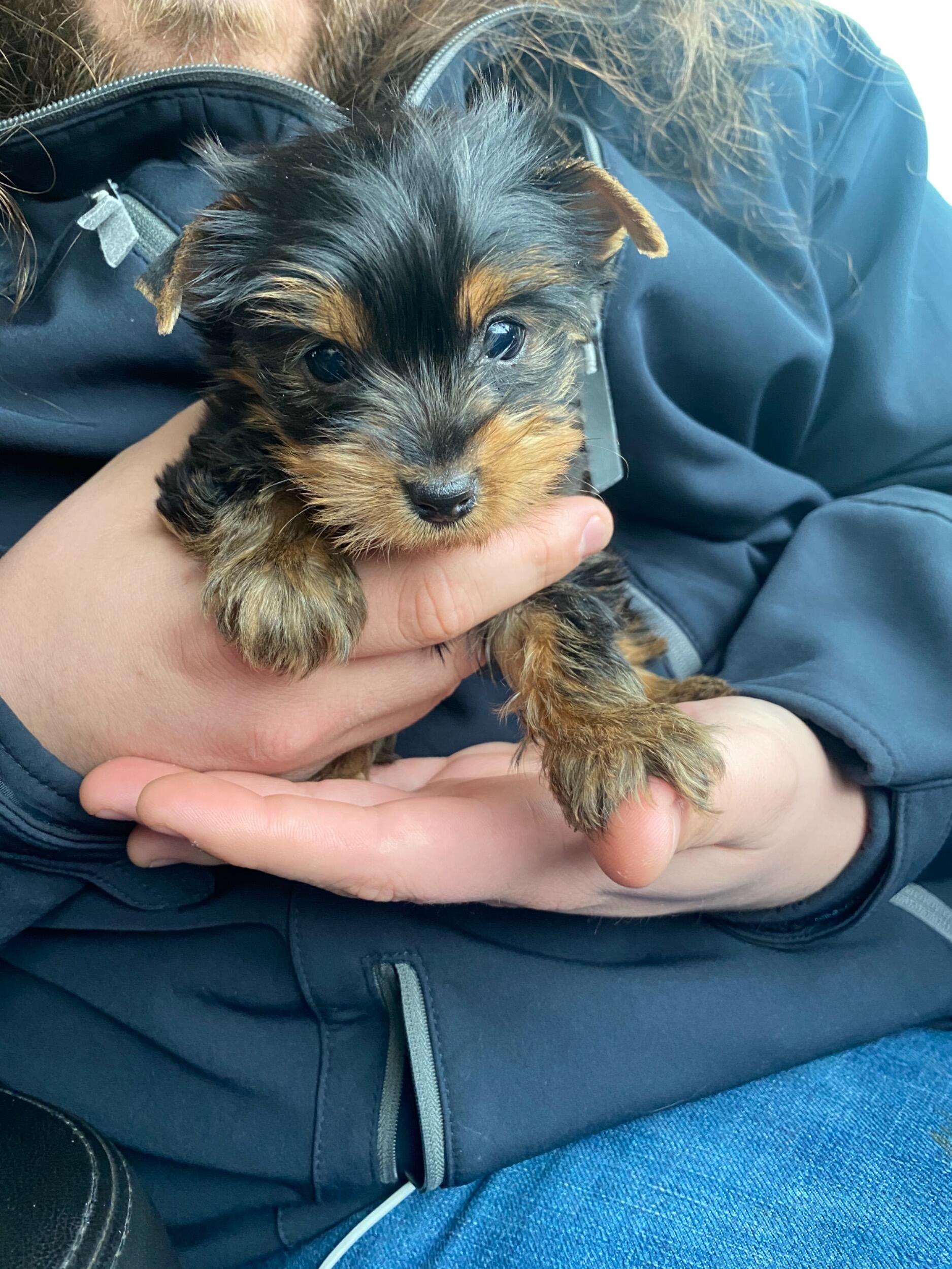 Parker got a brother! 