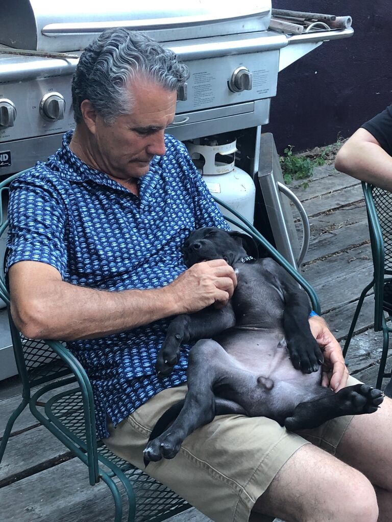 Baby’s favorite way to sleep. Flopped on top of his people.