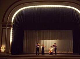 Chamber Light Players - String Quartet - Pittsburgh, PA - Hero Gallery 4