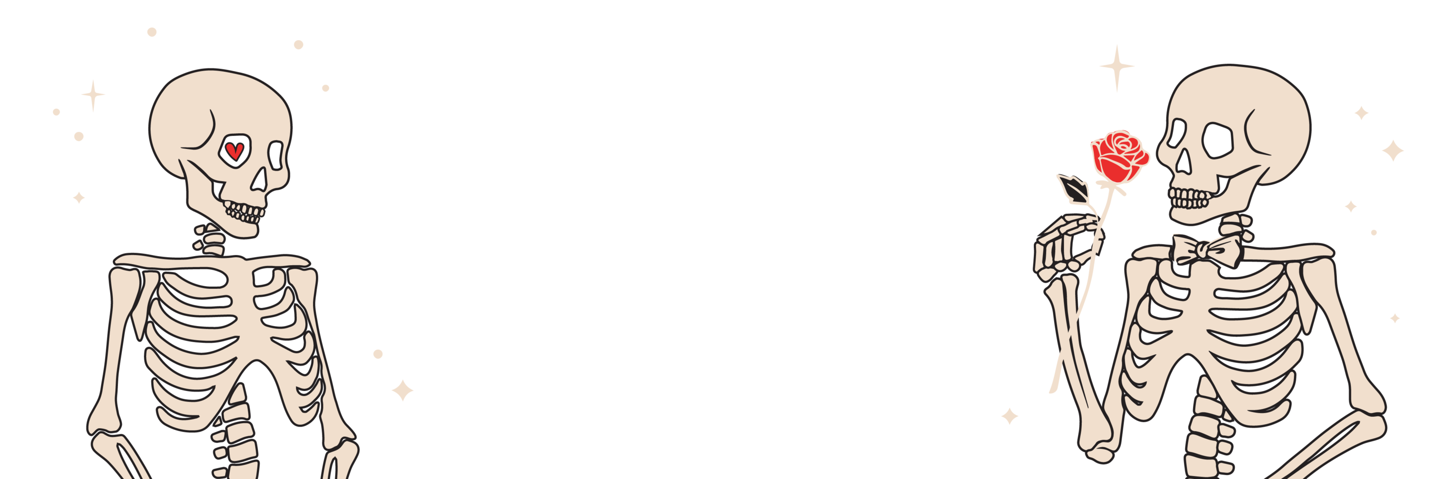 Bottom Theme Image