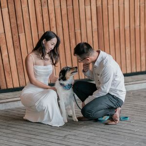 Gallery Photo 5