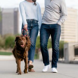 Gallery Photo 23