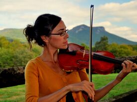 Julie Chiles Fiddler/Violinist - Violinist - Asheville, NC - Hero Gallery 3