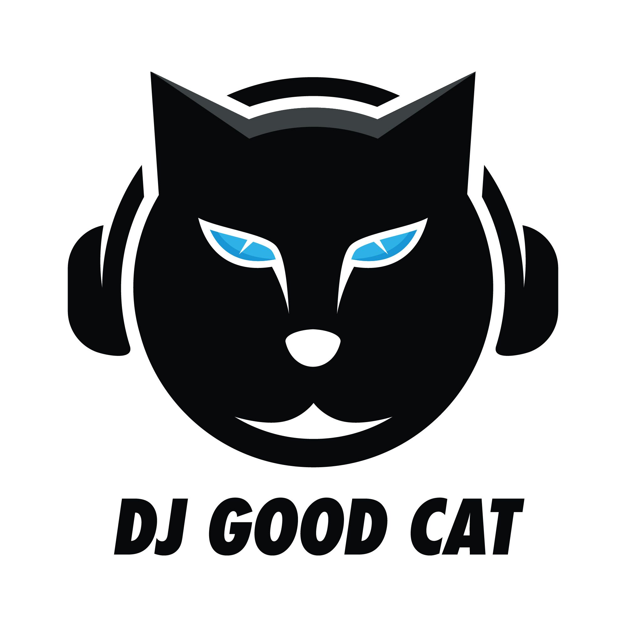 Minimalist DJ Kitty