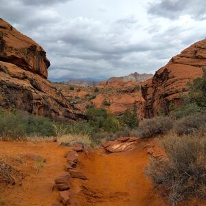 Gallery Photo 2
