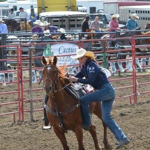 Gallery Photo 49