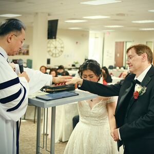 Gallery Photo 44