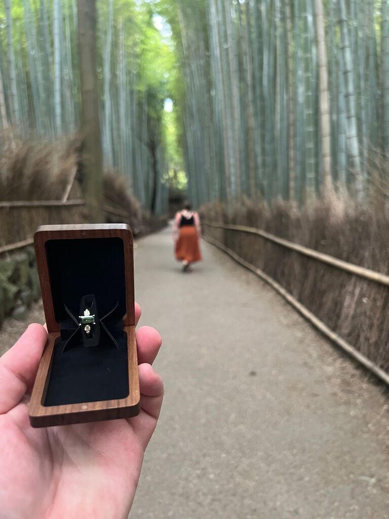 Proposal espionage