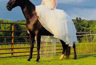 bridesmaid dresses in roanoke va Bridesmaid Dresses for Outdoor West Virginia Wedding Venue