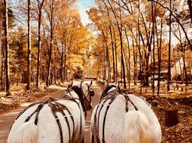 Liberty Farm - Pony Rides - Harrisville, RI - Hero Gallery 2