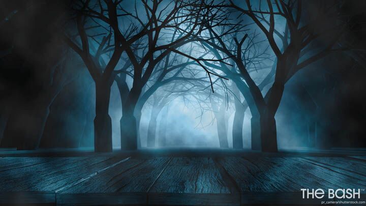 Halloween Zoom Background - Misty Forest 