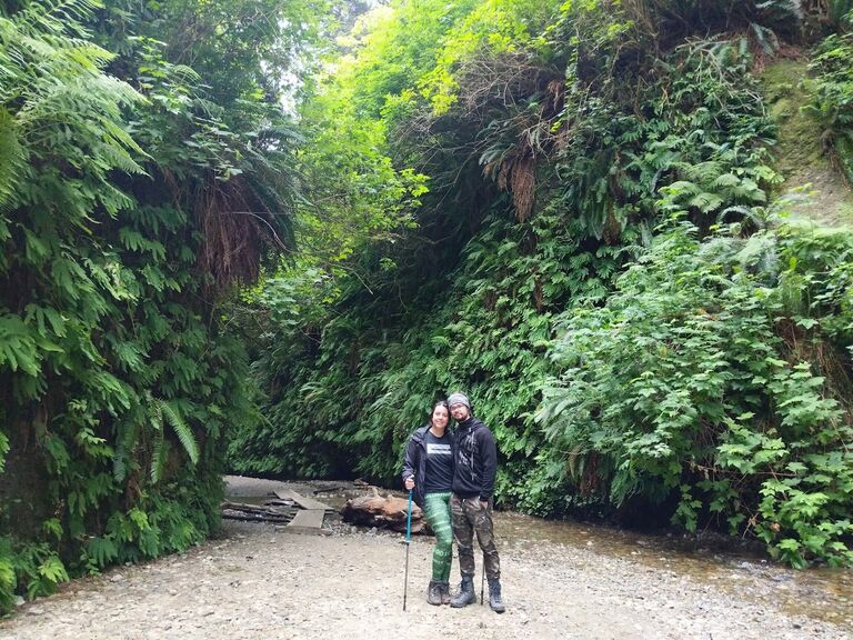 Fern Canyon, California