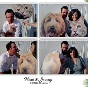 Gallery Photo 7