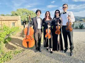 Brianna Rhodes - Violinist - Culver City, CA - Hero Gallery 3