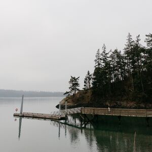 Gallery Photo 15