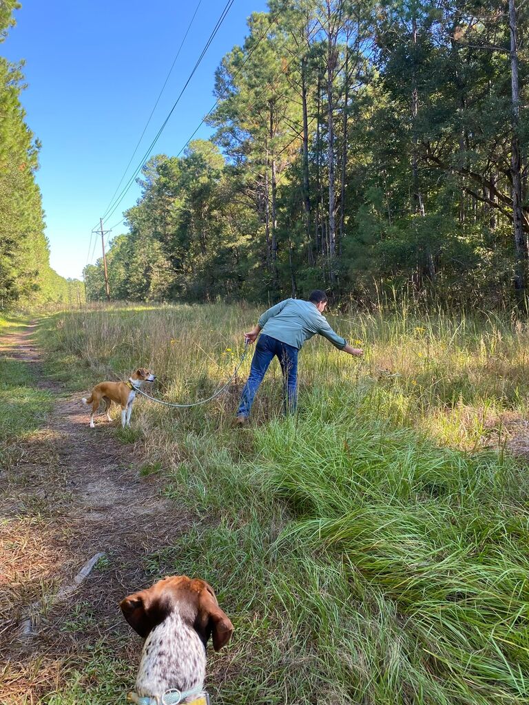 He picked me flowers and loved my dogs
