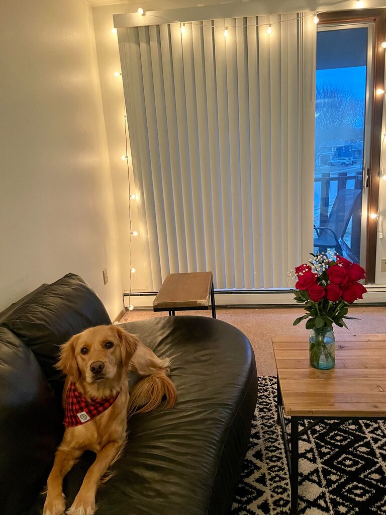 Jake and Kayla went on a Valentine's Date and shared their first "I love you."