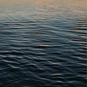 Gallery Photo 37