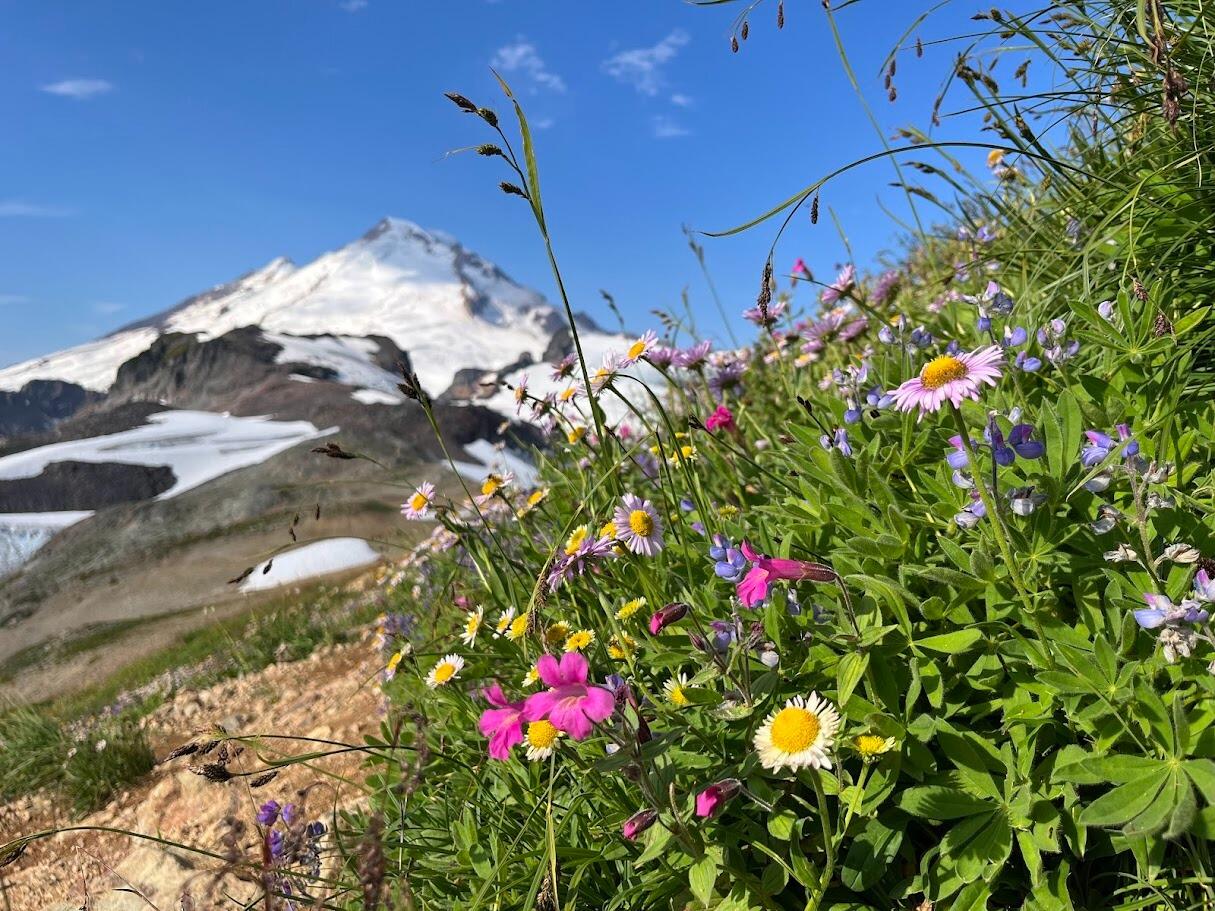 Backpacking trip to Ptarmigan Ridge near Mount Baker