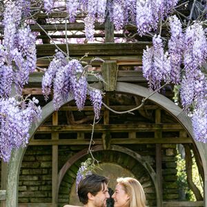 Gallery Photo 20