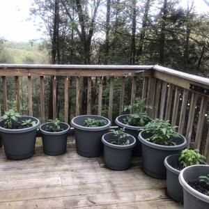 Gallery Photo 41