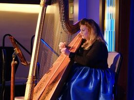 Paula Fagerberg, Harpist - Harpist - Alpharetta, GA - Hero Gallery 1