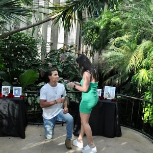 Gallery Photo 9