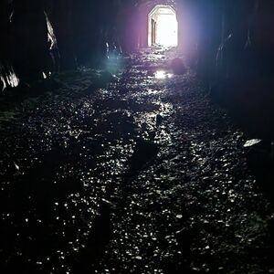 Gallery Photo 15