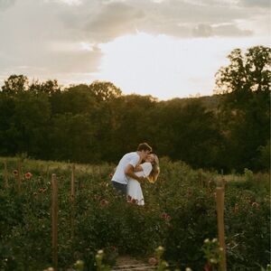 Gallery Photo 5