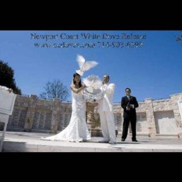 White Dove Release For Weddings & Events - Dove Releases - Huntington Beach, CA - Hero Main