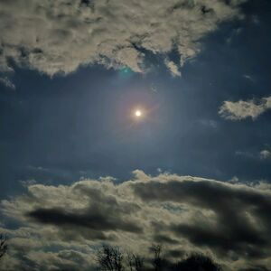 Gallery Photo 62