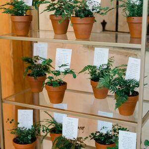 Gallery Photo 37